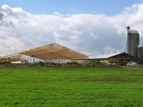 Exterior view of a massive wooden truss frame for a new agricultural barn on a farm with silos in the background.