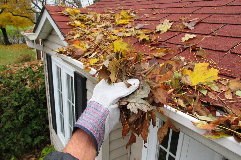 A person wearing a protective work glove removing dry autumn leaves from a residential rain gutter on a house with red shingles.
