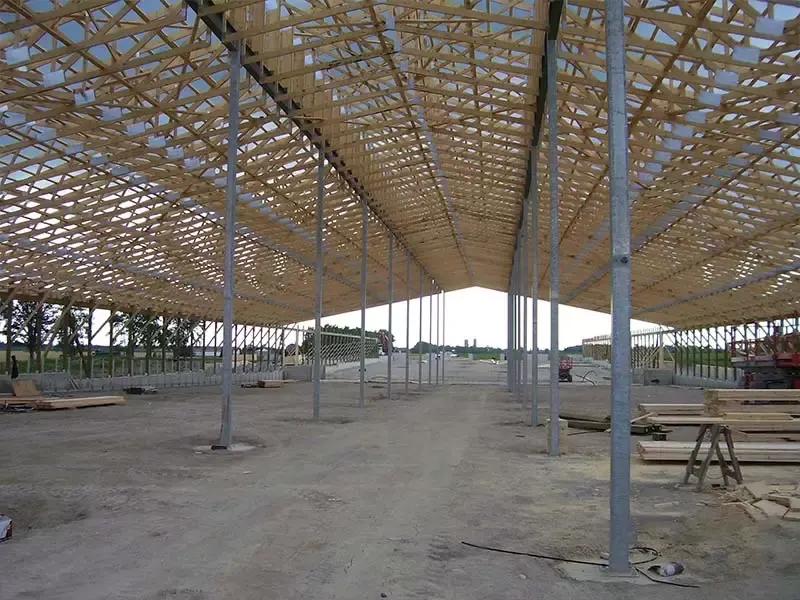 Interior of a massive agricultural building with engineered wood roof trusses and steel support columns under construction.